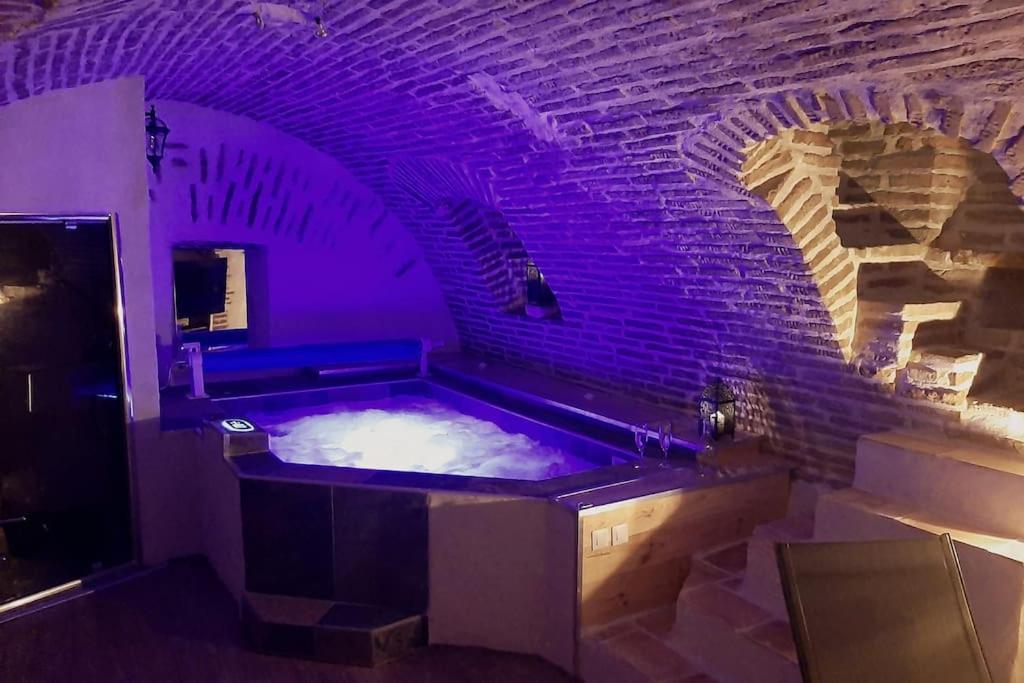 Studio Et Spa Privatif Le Puits De La Grace Albi Exterior photo