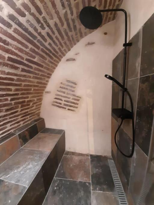 Studio Et Spa Privatif Le Puits De La Grace Albi Exterior photo